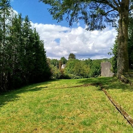 Les Copaines D'Abord ! Villa Gedinne Exterior foto